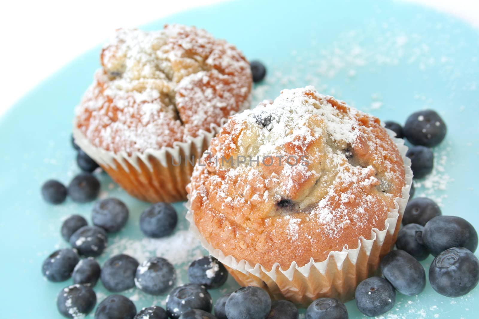 Blueberry muffins sprinkled with powder sugar on a blue plate along with fresh blueberries.