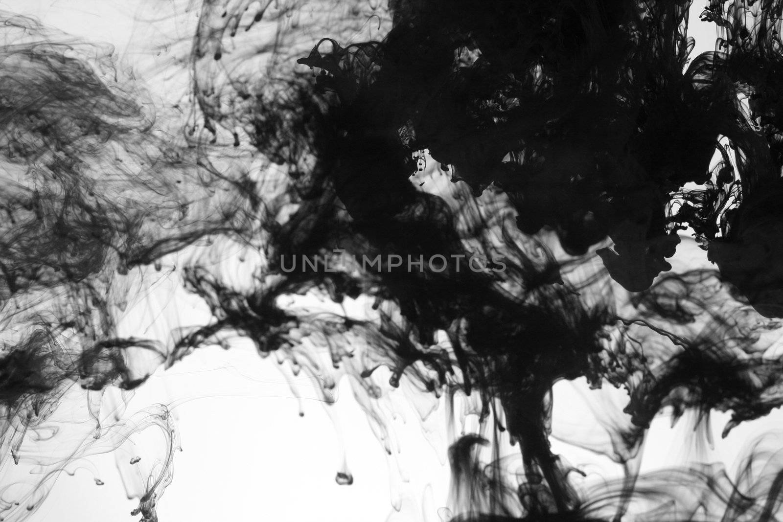 Liquid Ink by jeremywhat