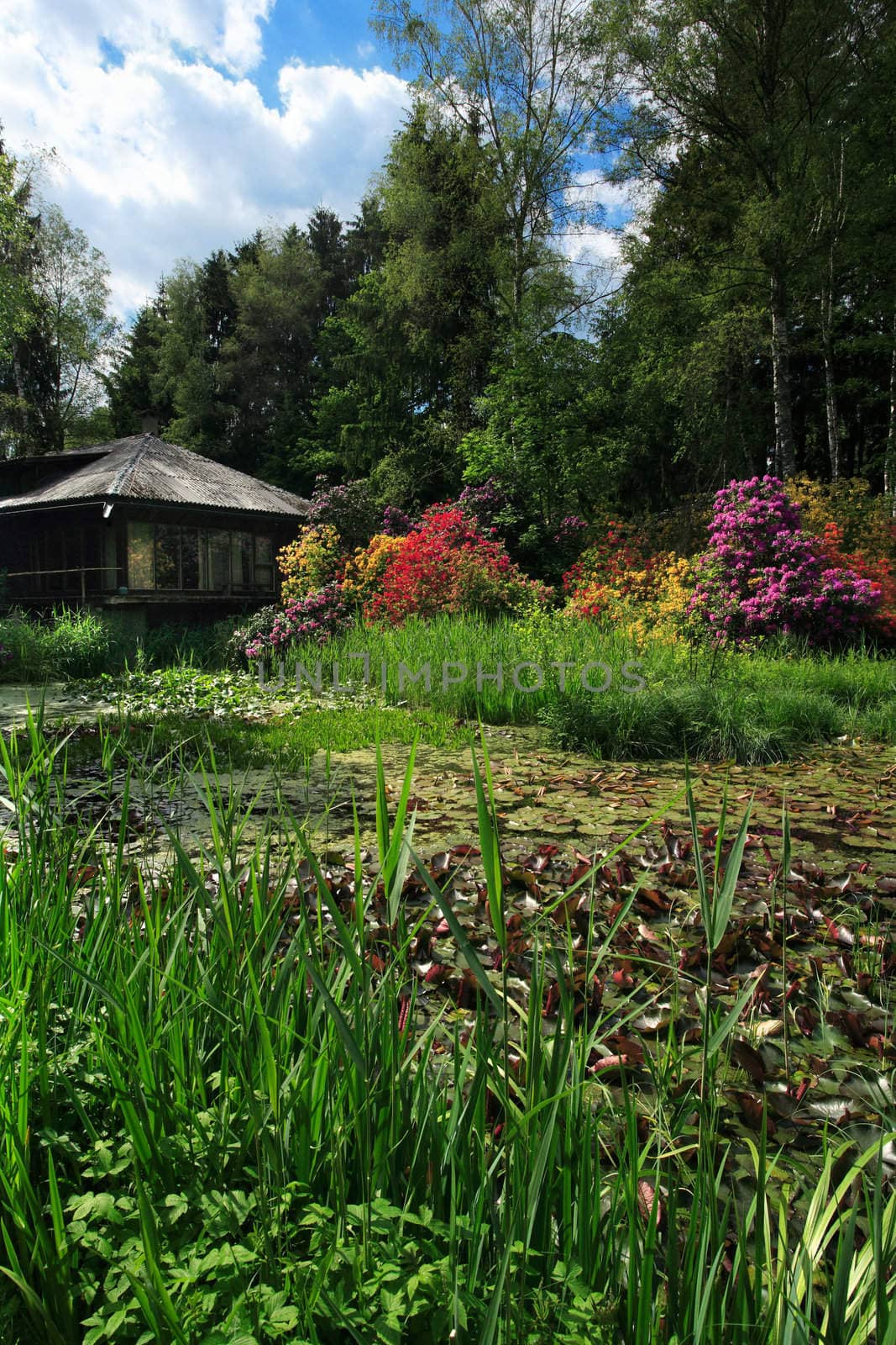 A beautiful scenic marsh with a cottage nestled in the brush.
