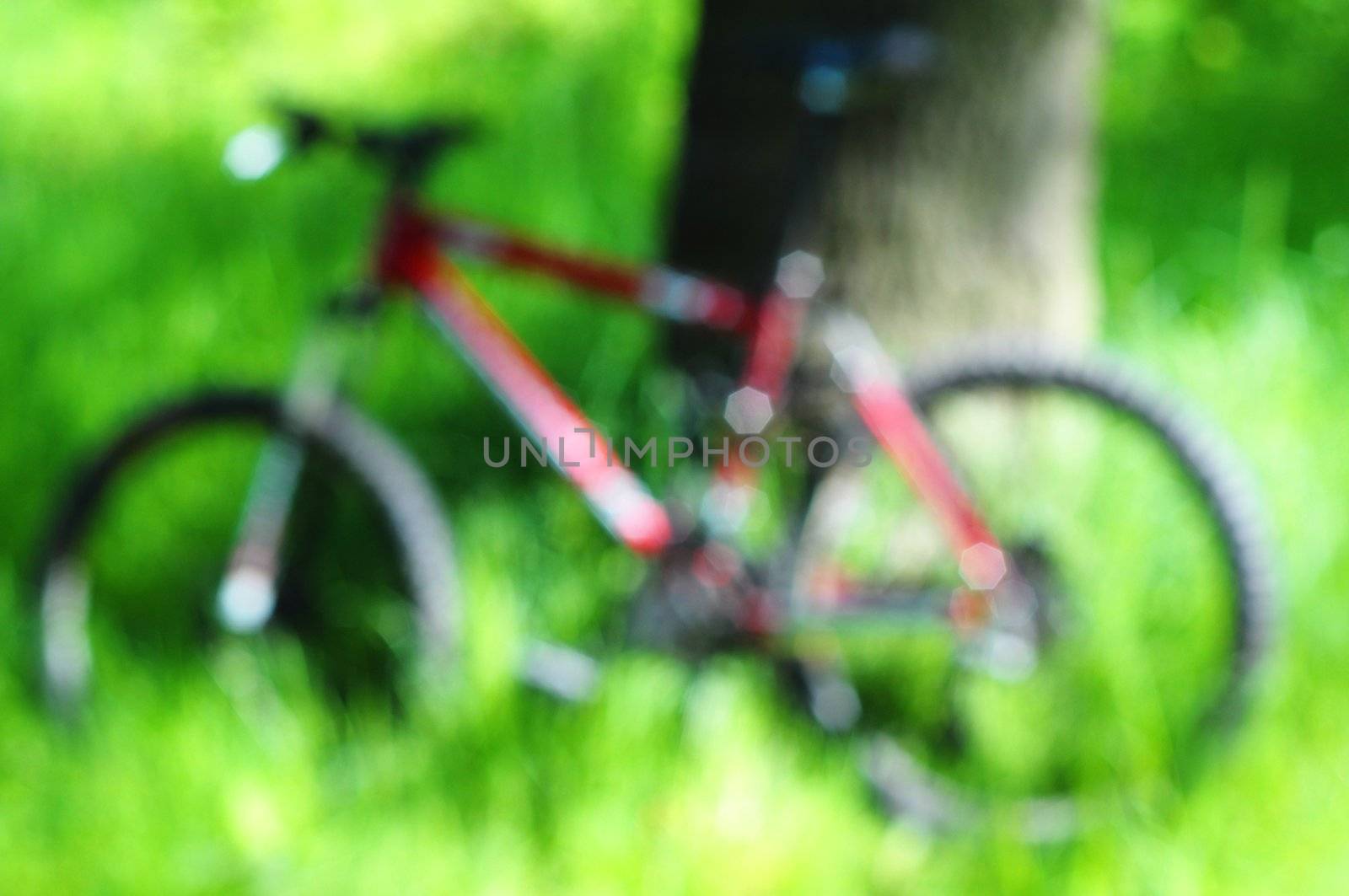 mountain bike in green nature out of focus can be used as background