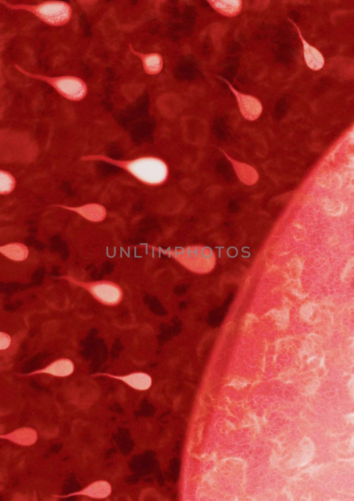 Abstract illustration of sperm swimming towards an egg
