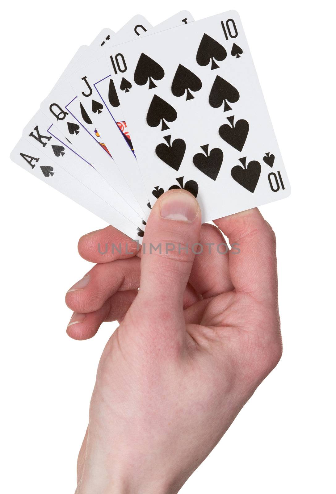 Playing card on hand on the white background