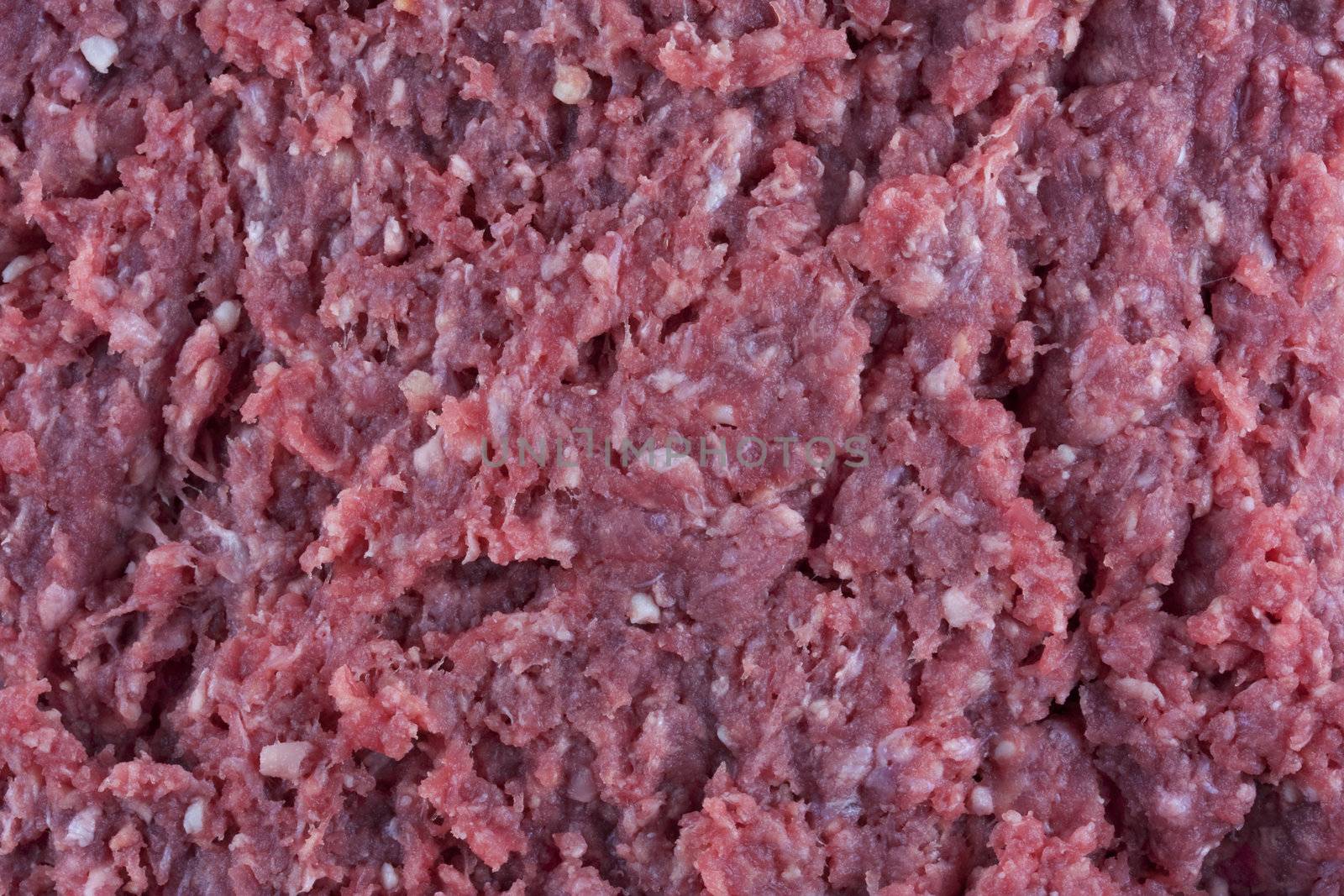 low cholesterol ground bison (buffalo) raw meat background