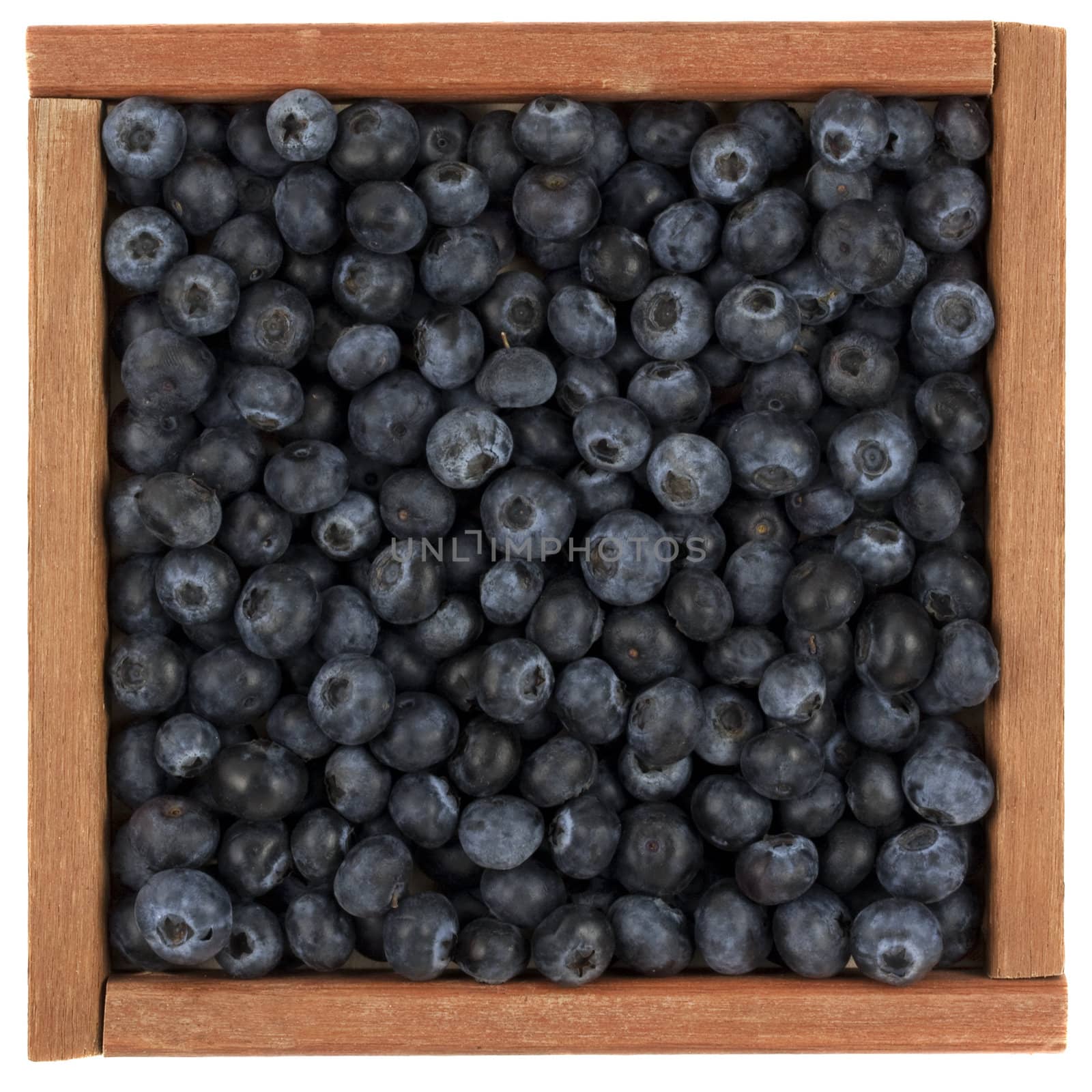 fresh blueberries in a rustic, wooden box or frame, isolated on white