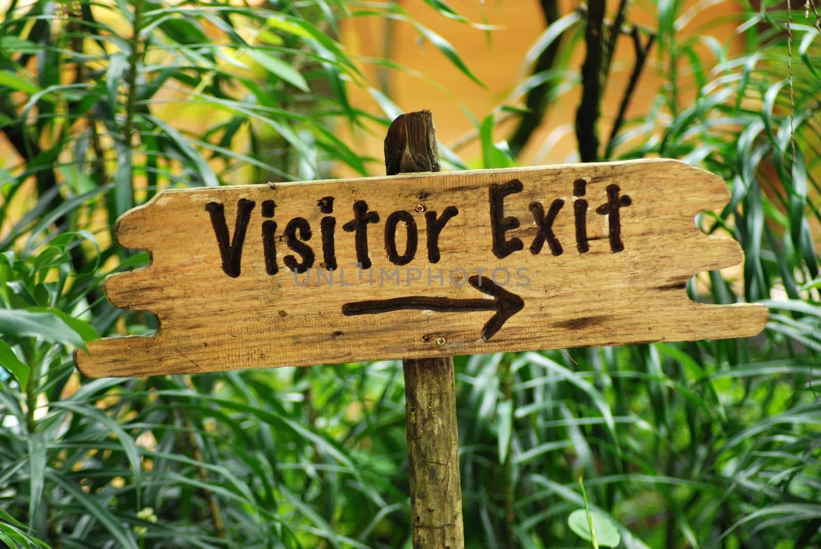 A visitors exit sing in the park