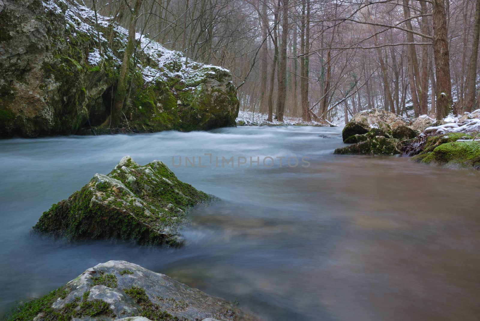 low angle view on a river in winter.