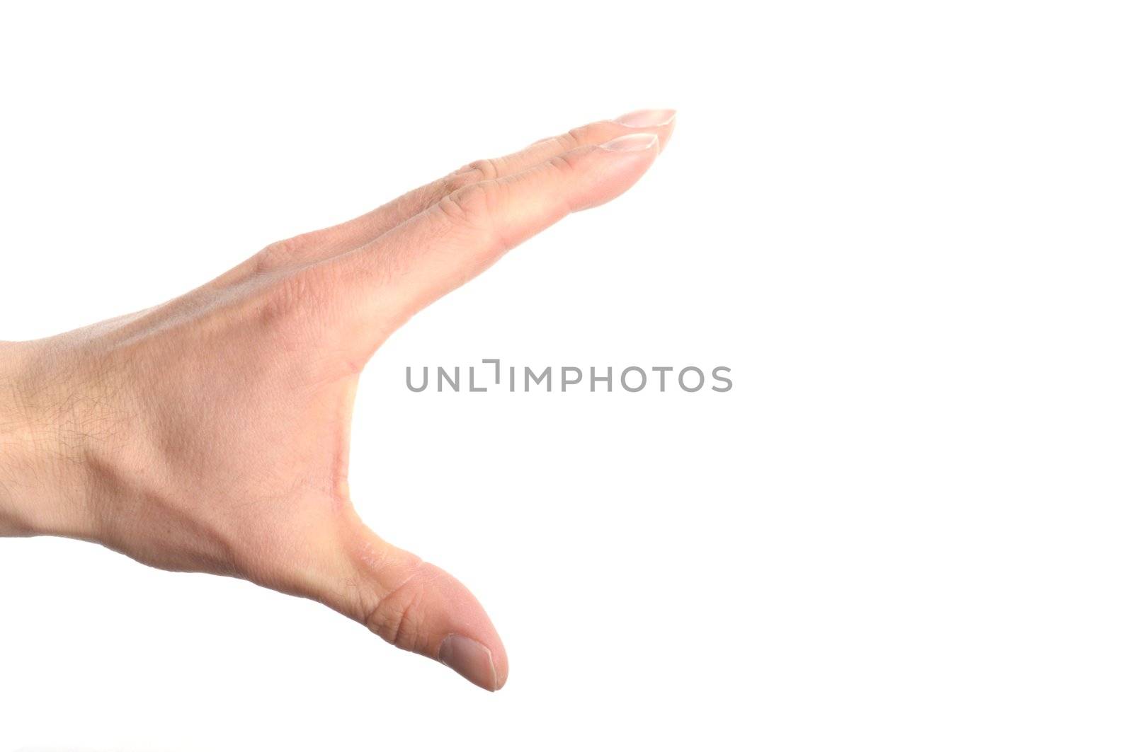 male hand isolated on a white background with copyspace