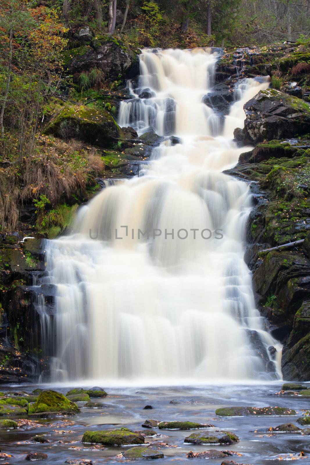 mountain waterfall. fast stream water. autumn landscape