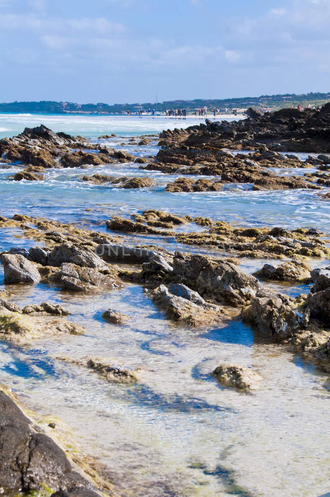 rocks on the beach of Stintino in Sardinia by peus