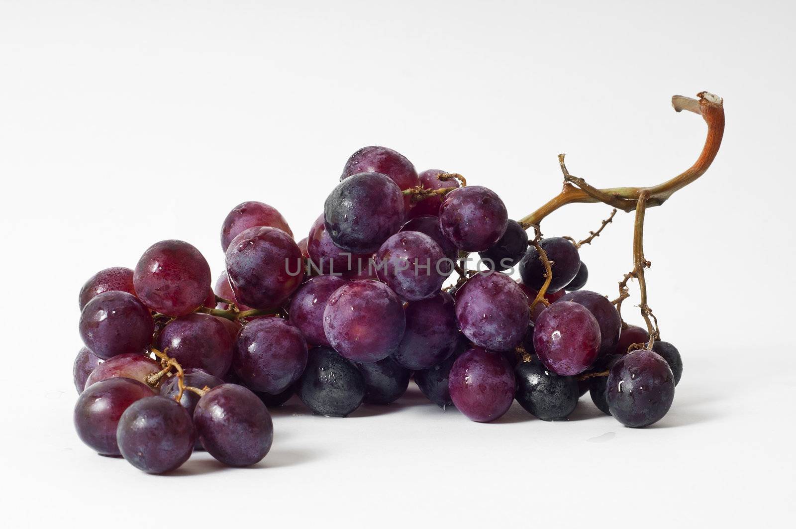 Black grapes on white background