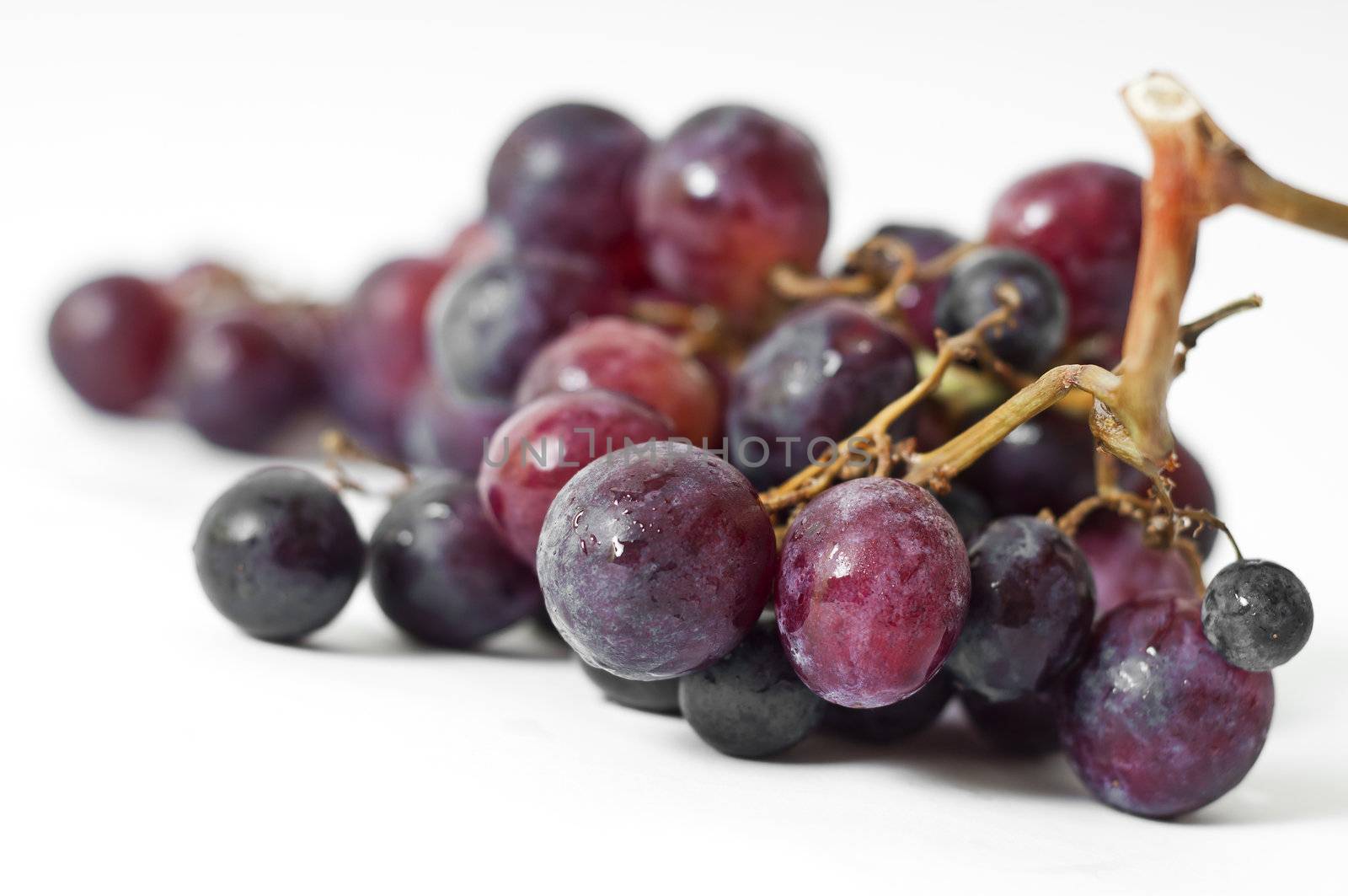 Black grapes on white background