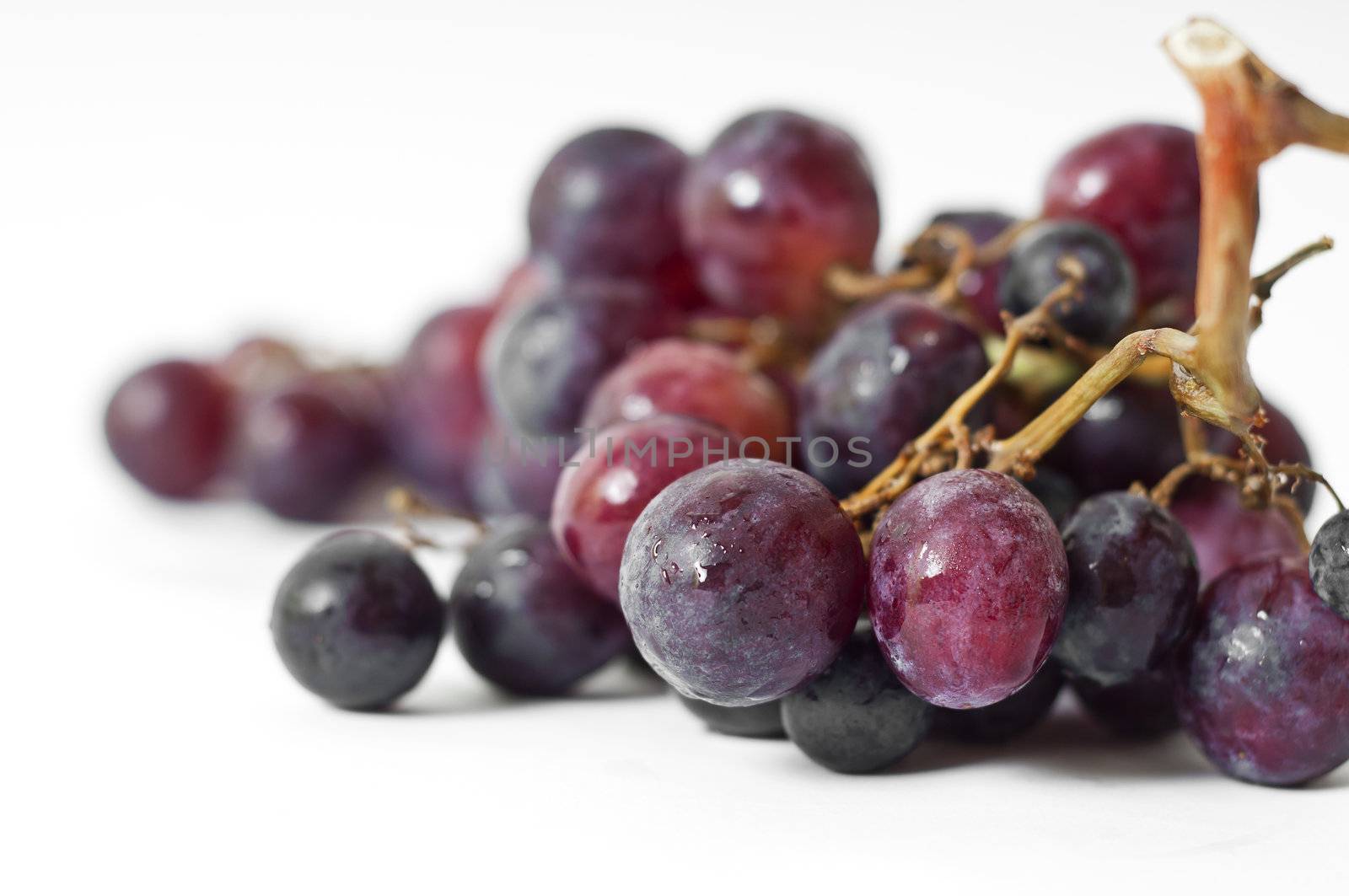 Black grapes on white background by peus