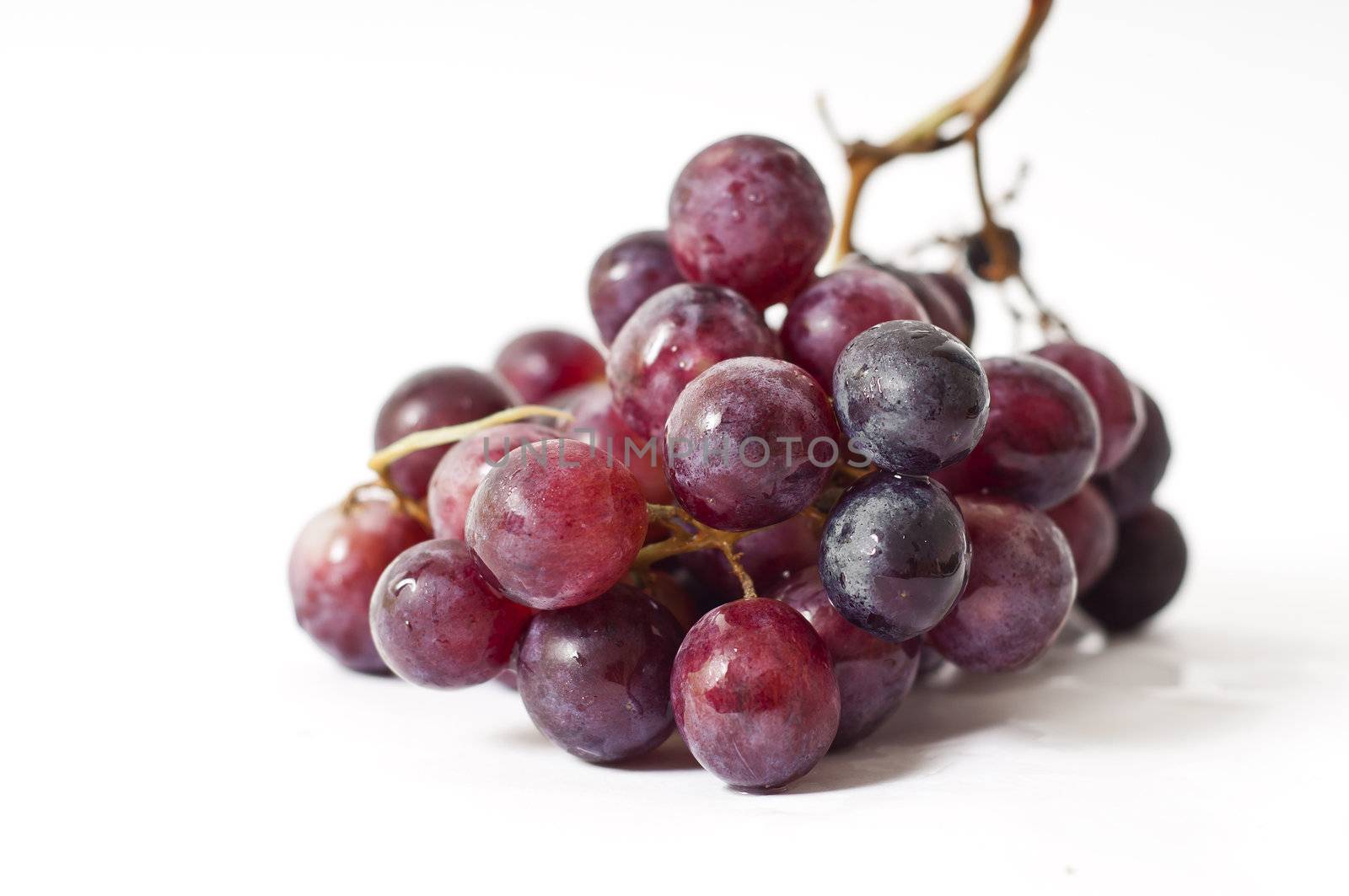 Black grapes on white background by peus