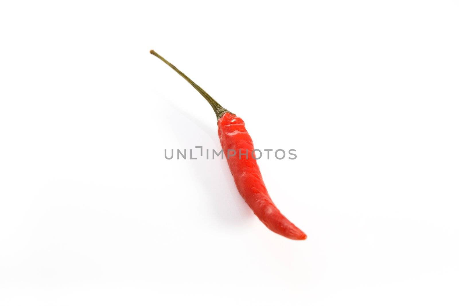 Small but hot and spicy red chili pepper on white background