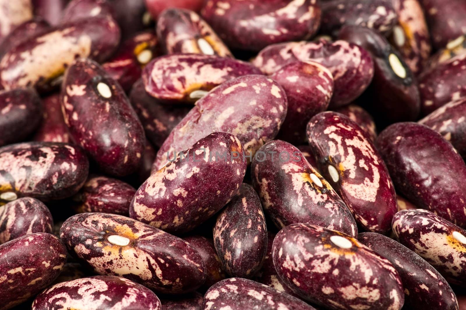 A couple of dark red and spotted kidney beans in wooden dish 