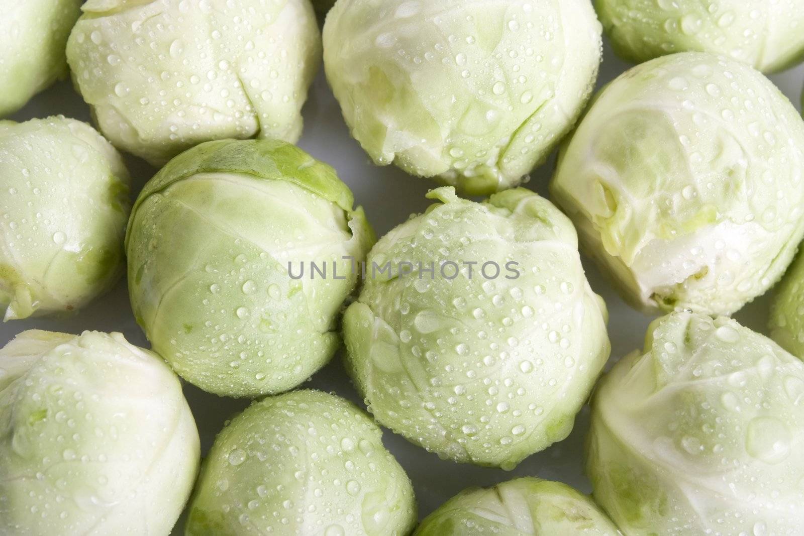 Close up of brussel sprouts cover in water drops.  