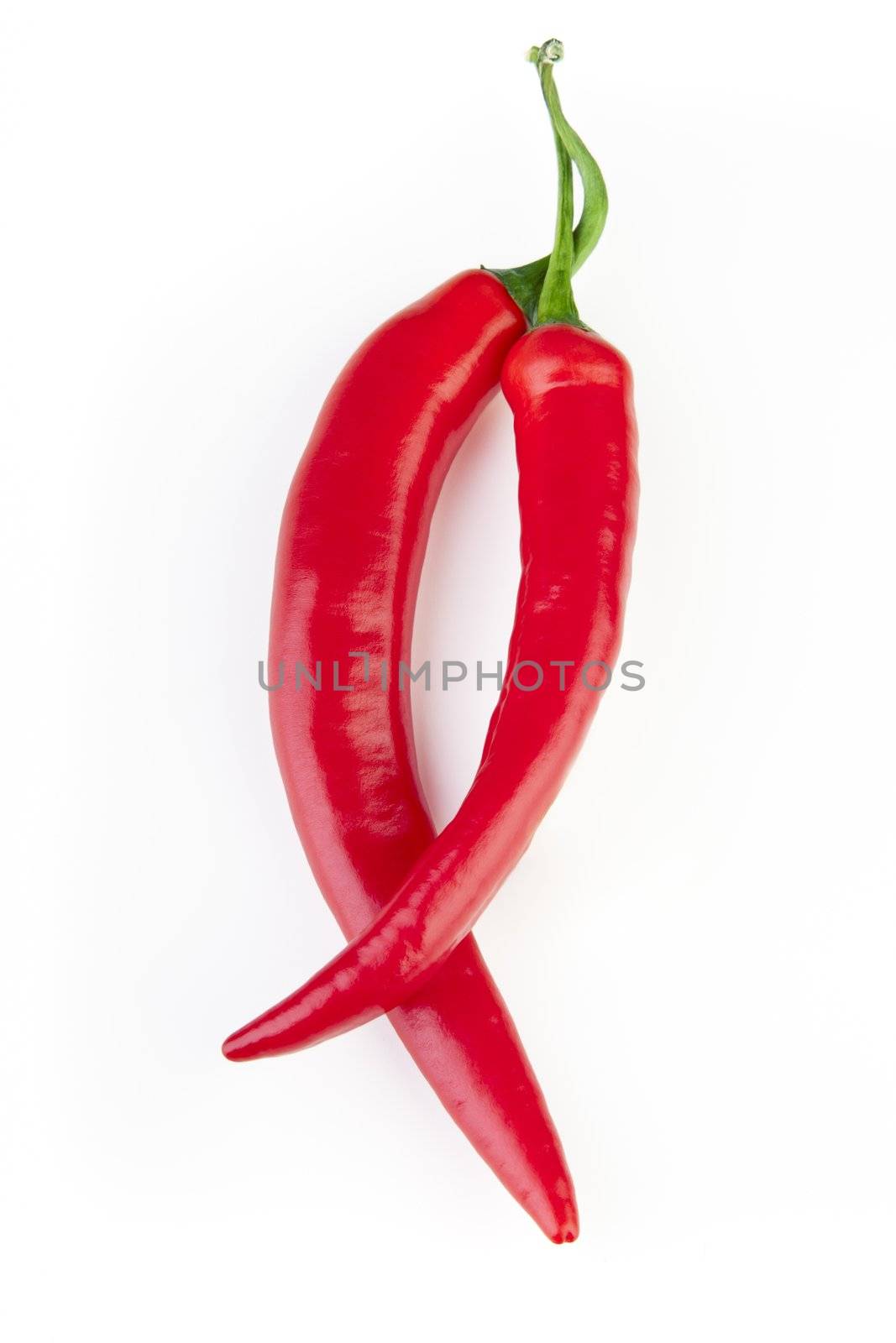 Two red hot peppers on white background