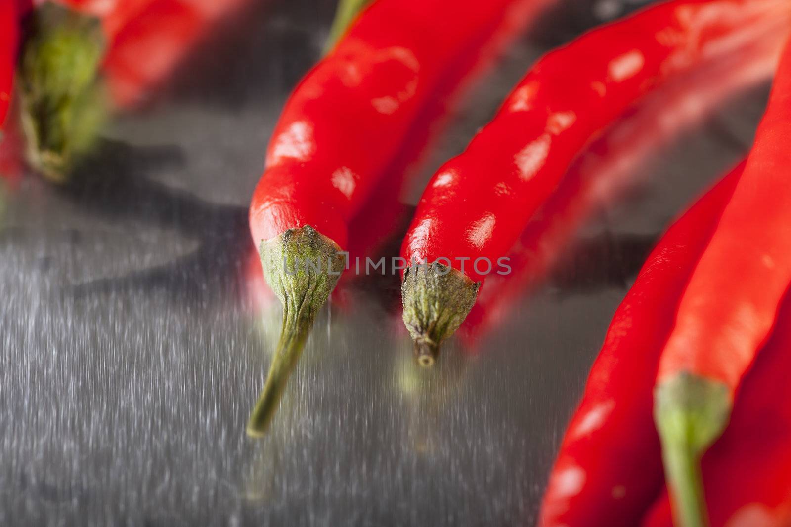 Hot Peppers by charlotteLake
