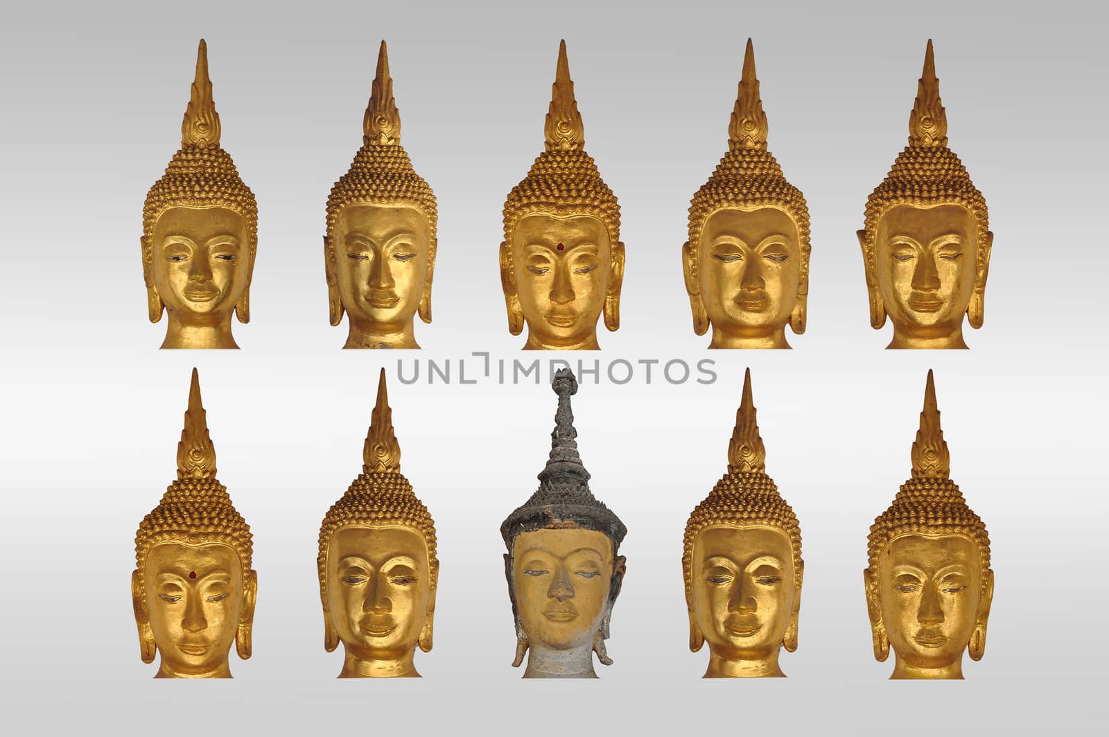 isolate heads of buddha