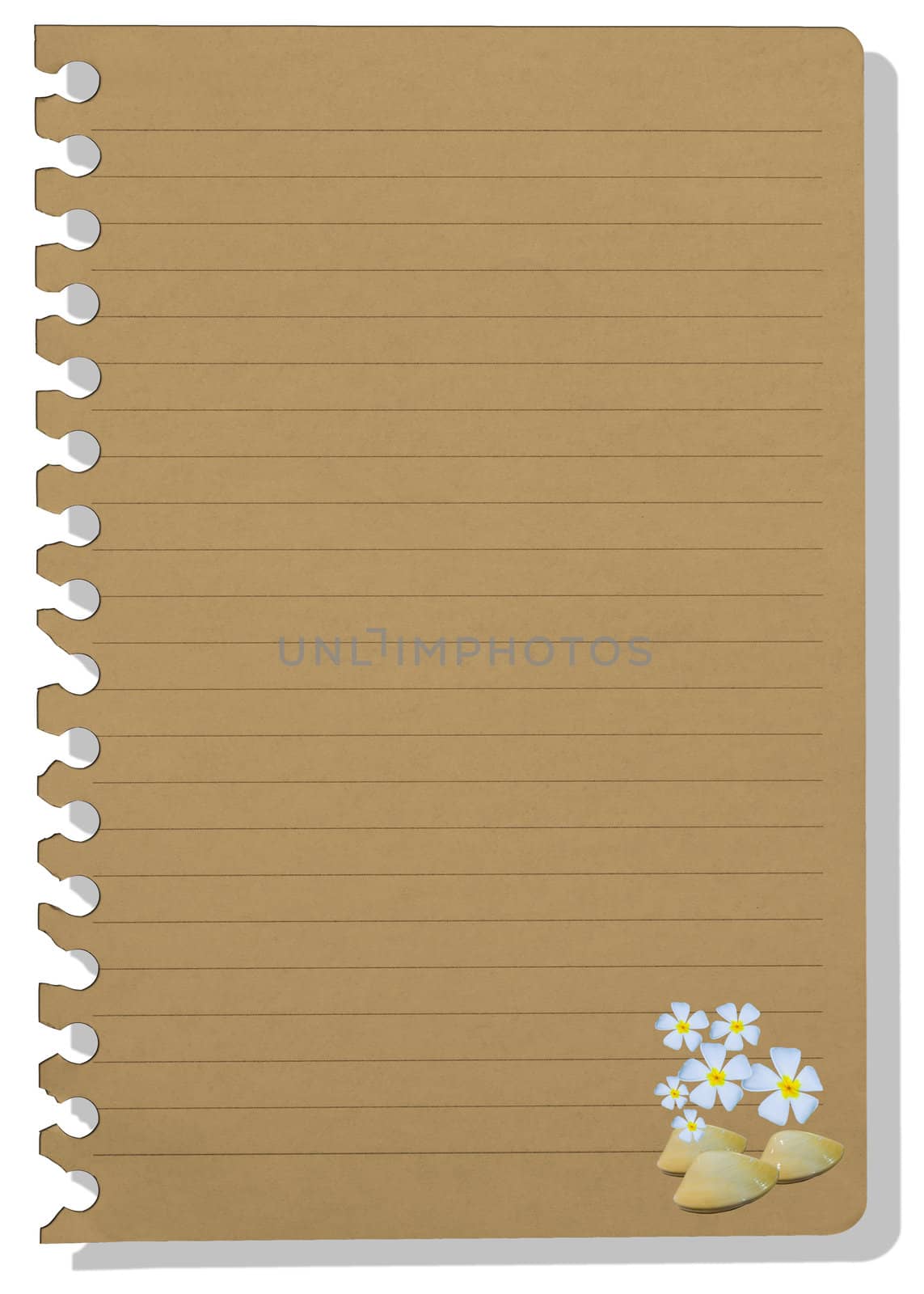 brown note paper in shellfish style