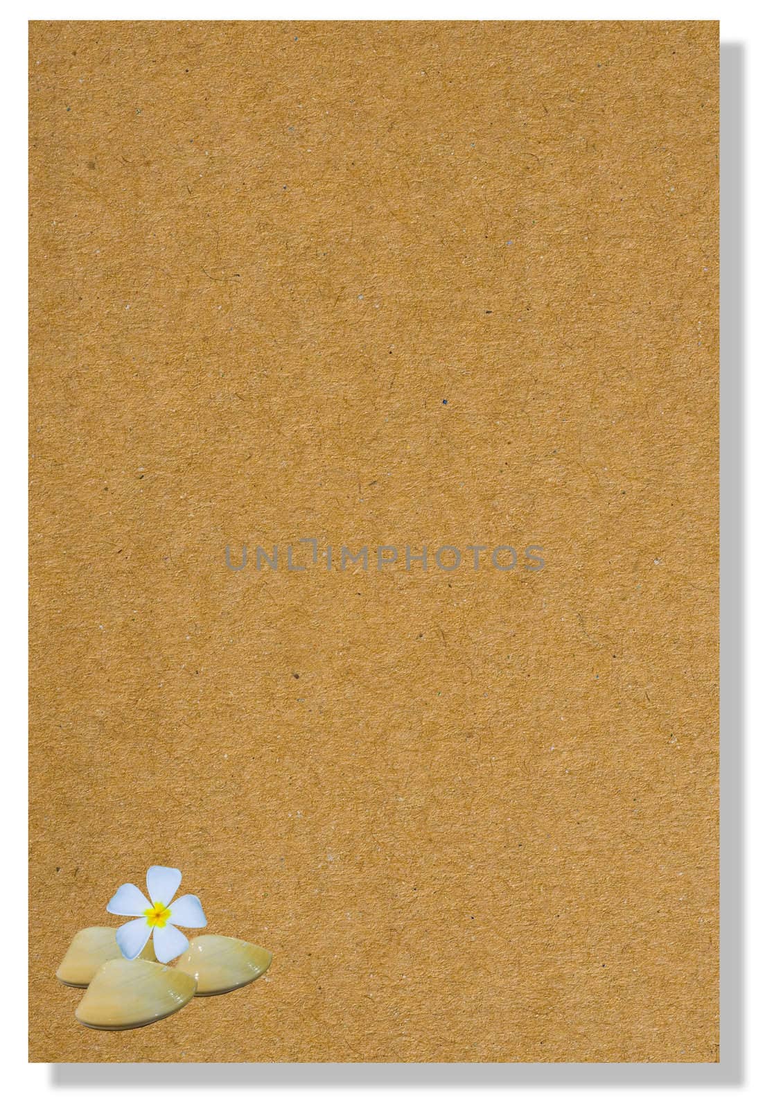 recycle note paper 