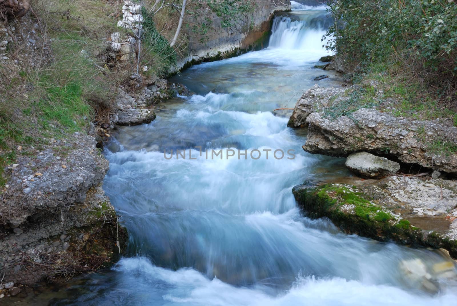 Creek cascade flowing forward with rocks and vegetation on the banks. 