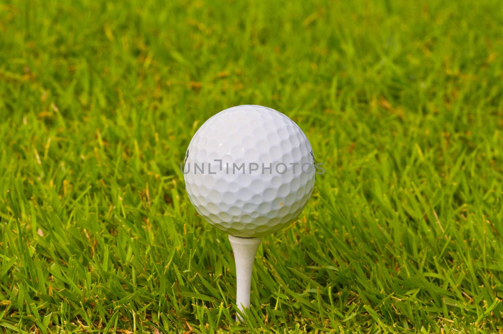 golf ball on green grass
