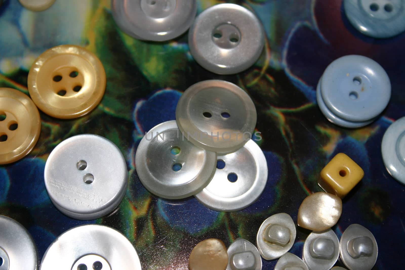 plastic buttons by leafy