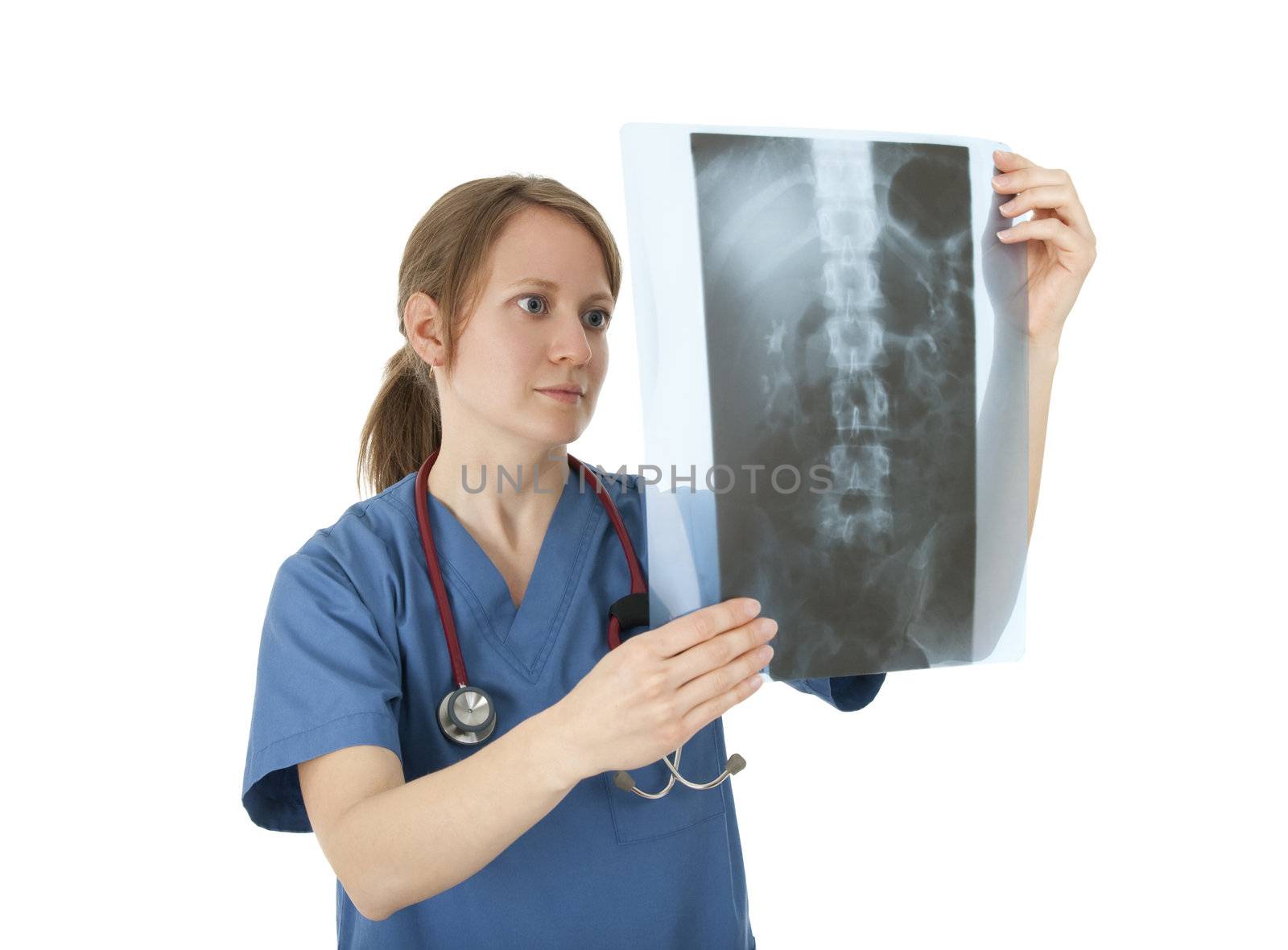 Young nurse studying x-ray image, isolated on white.