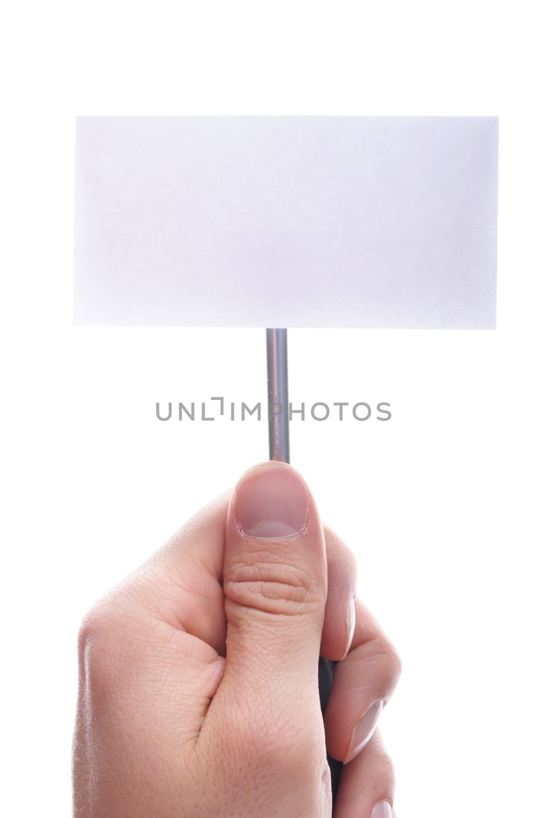 hand isolated on white background with blank or empty sheet paper and copyspace