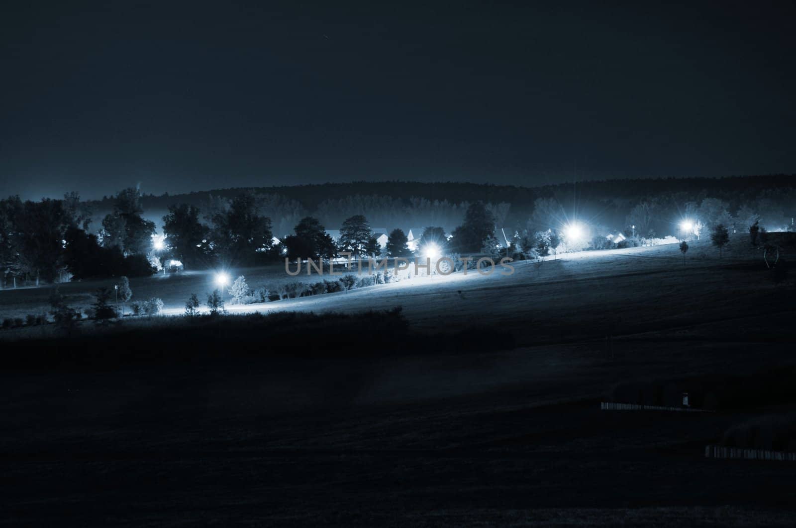 park at night with lights nature and trees