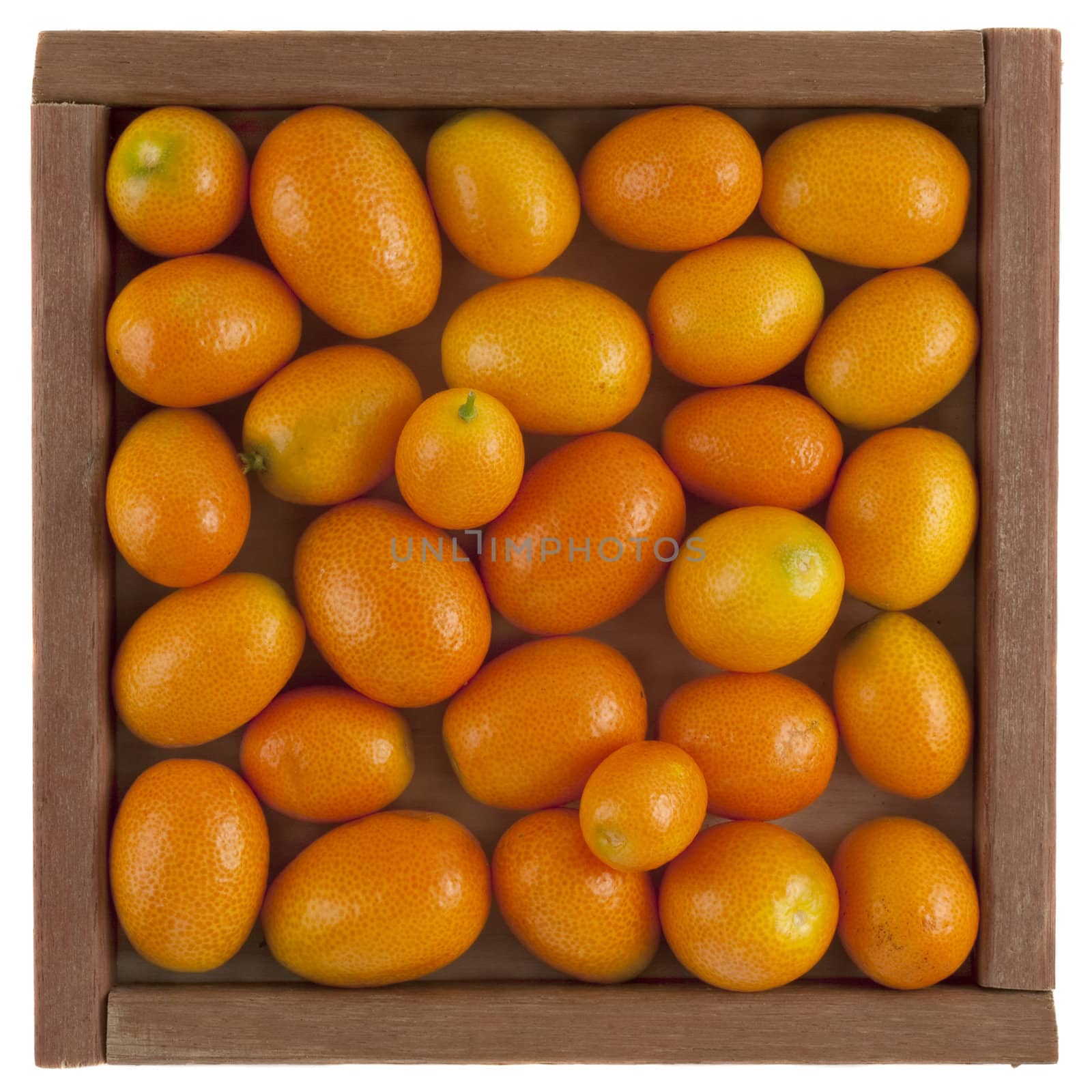 handful of kumquats in a rustic, square, wooden box, isolated on white