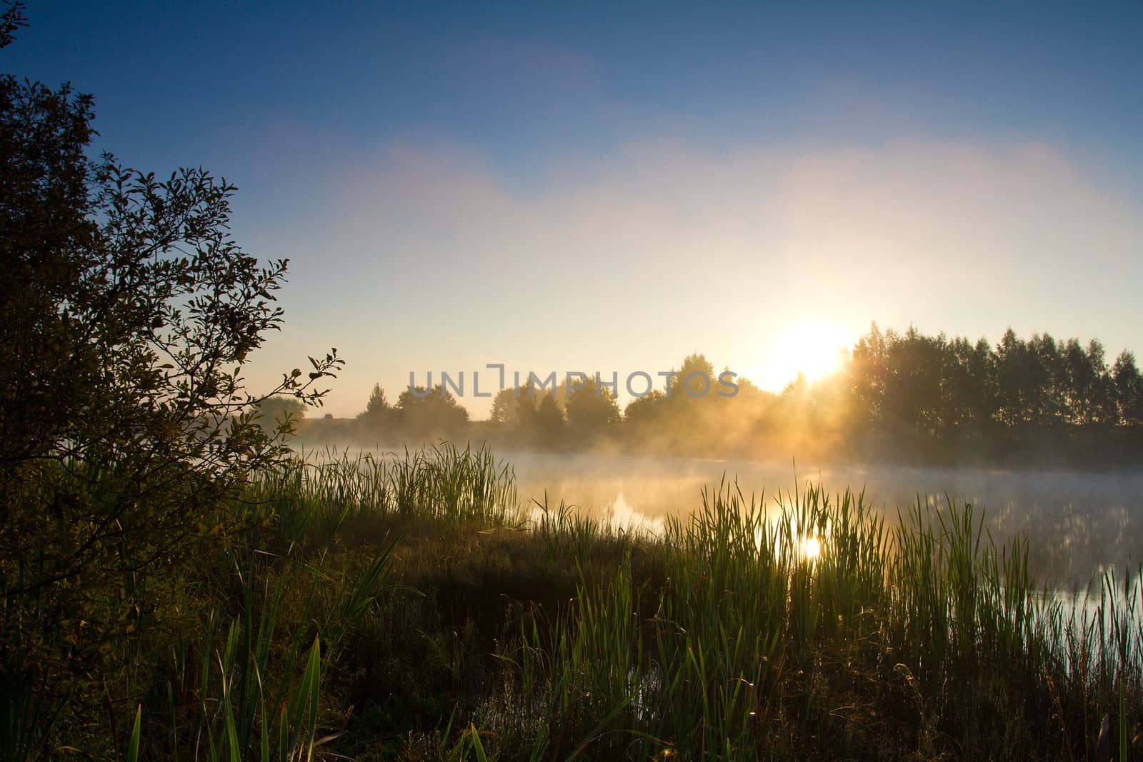 sunrise on lake by Alekcey