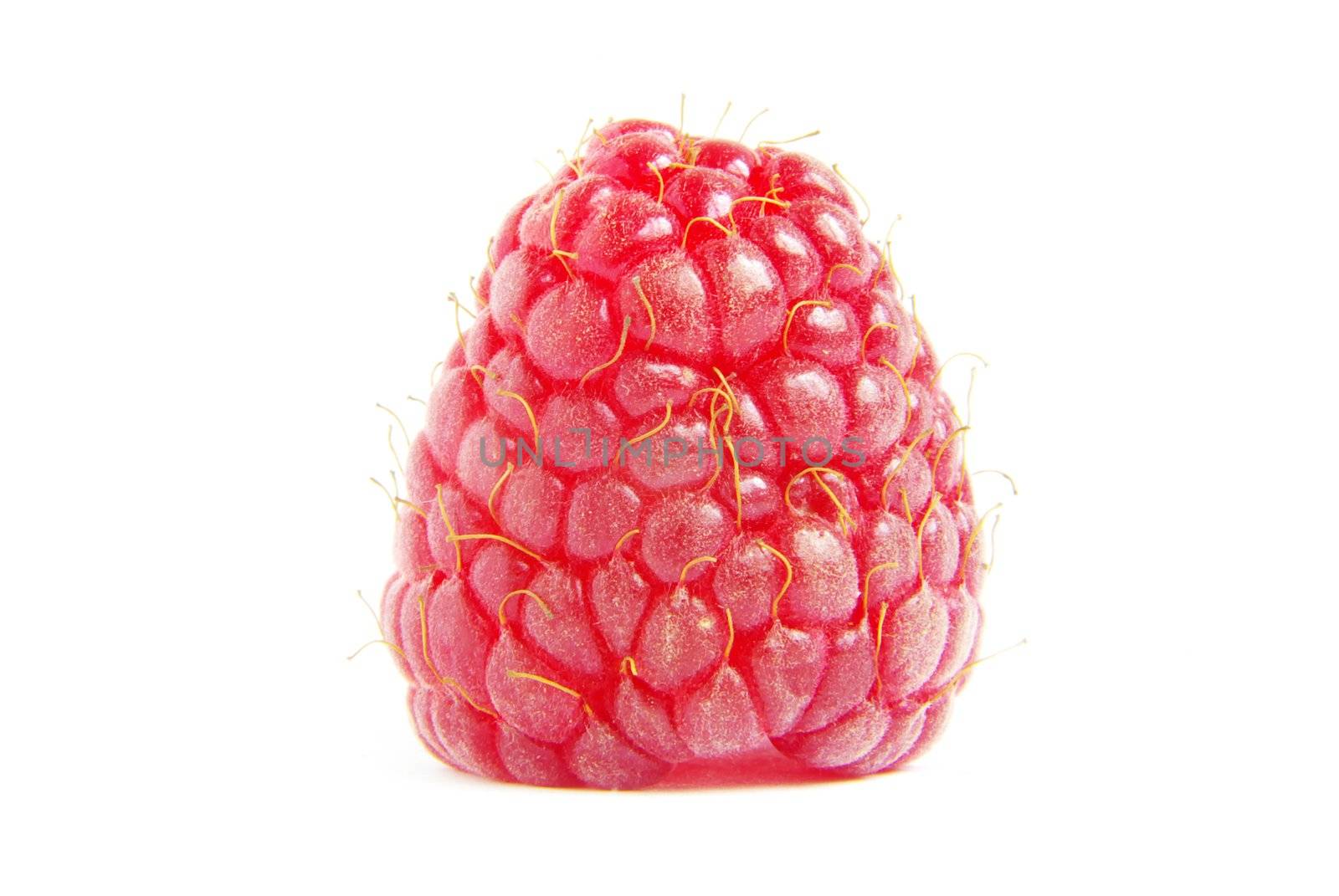 Ripe raspberry on a white background