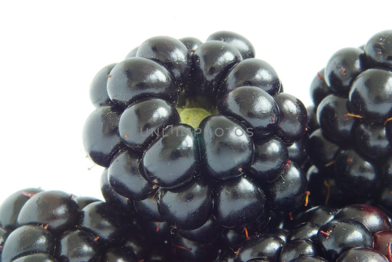 blackberry isolated on white background