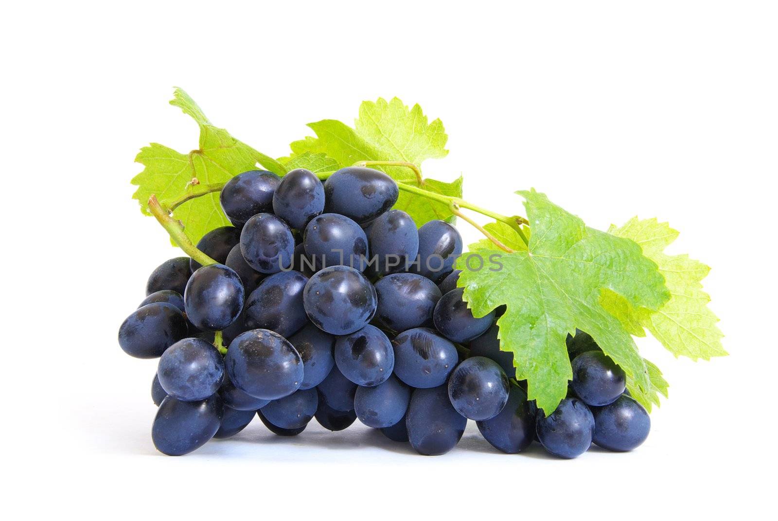  grapes  by Pakhnyushchyy