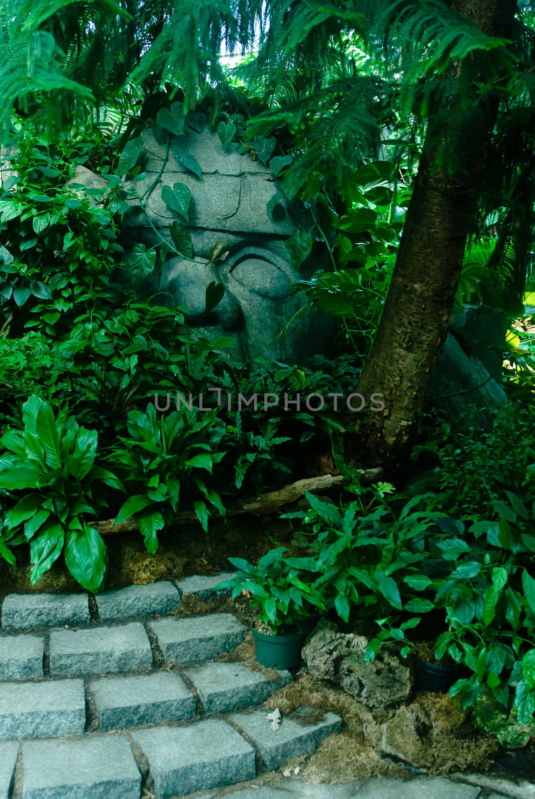An old giant stone head hiding in a forest of ruins.