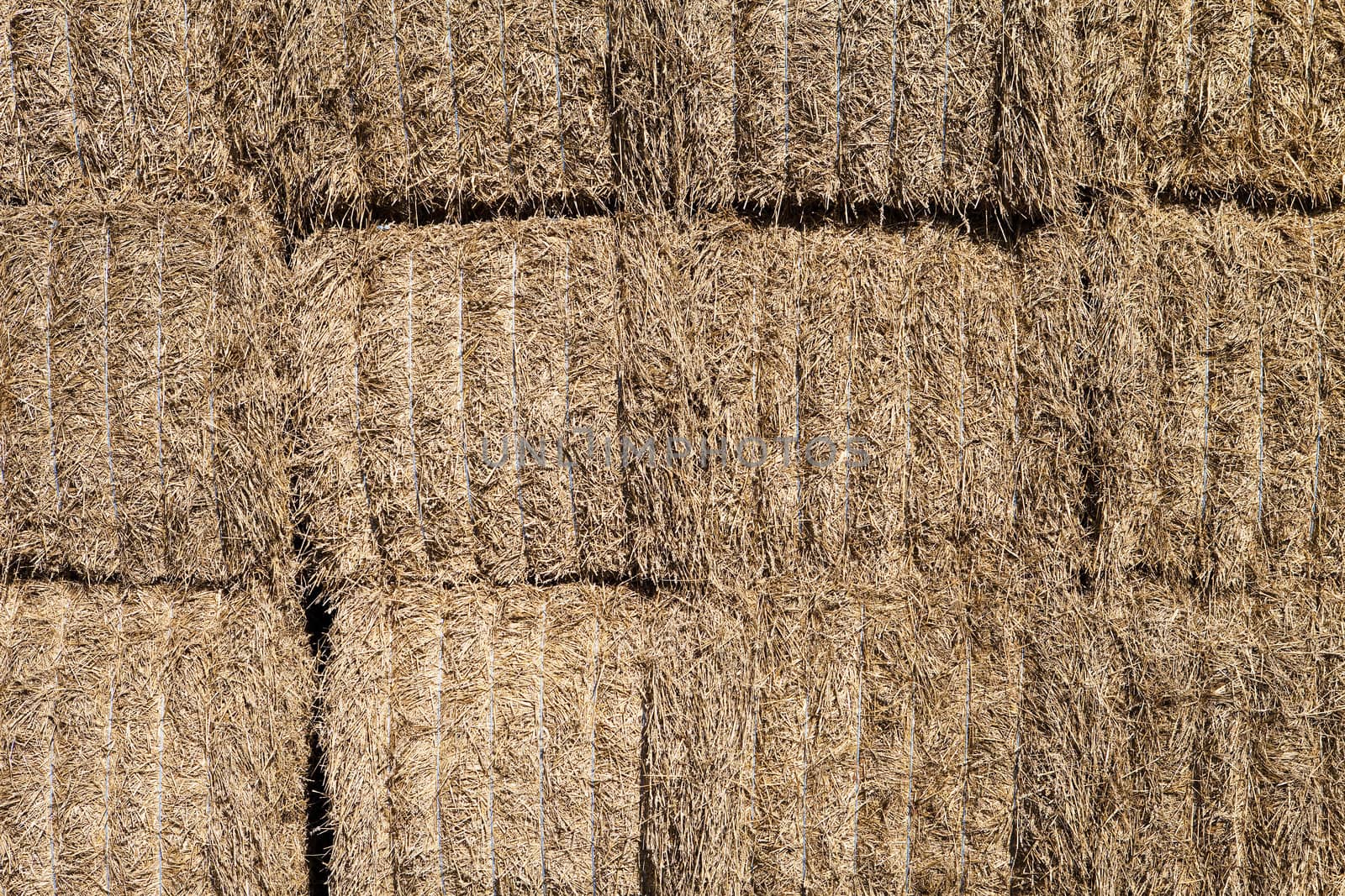 Bale of Haystack full frame