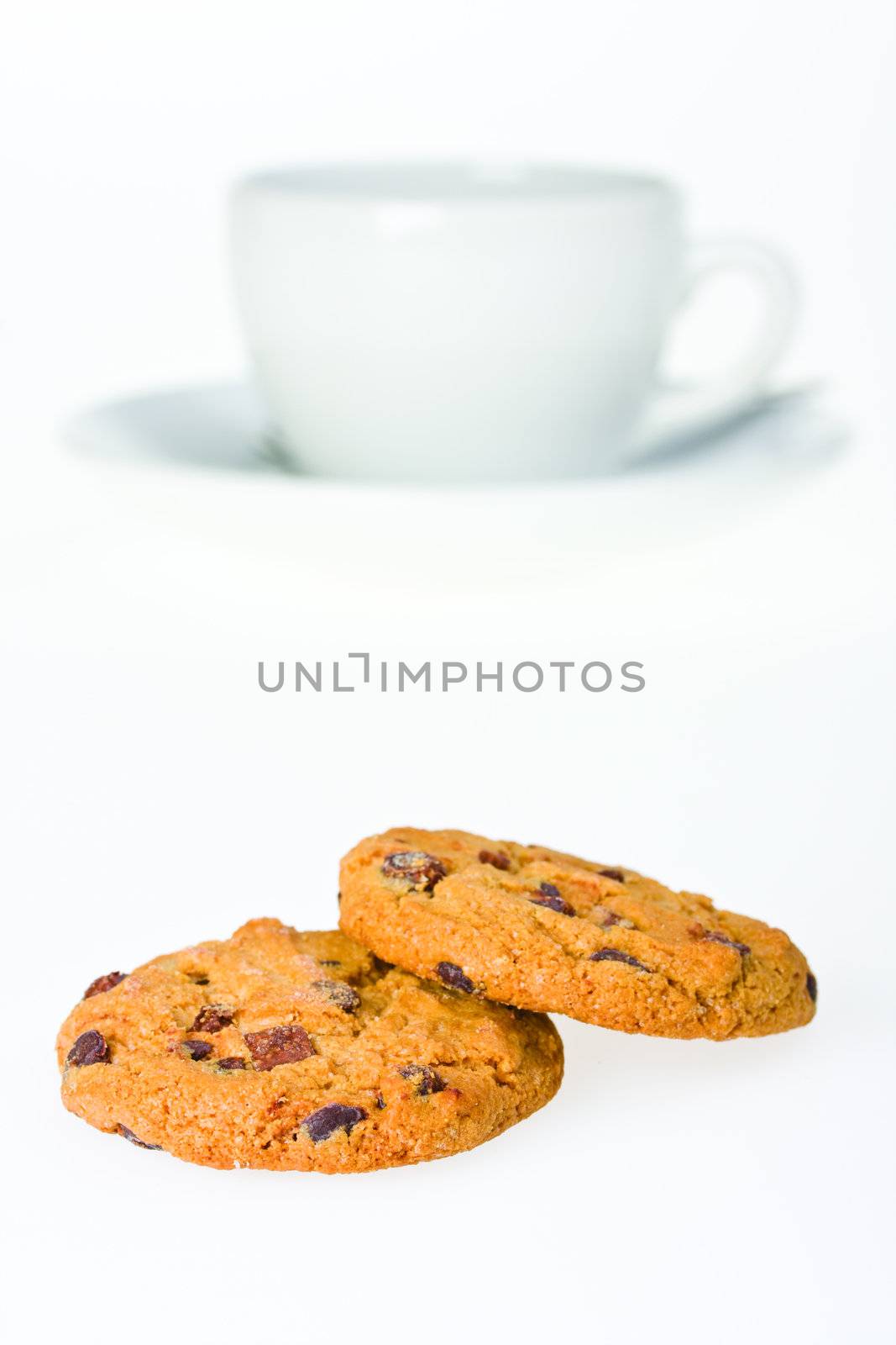 closeup of a chocolate cookie isolated by bernjuer