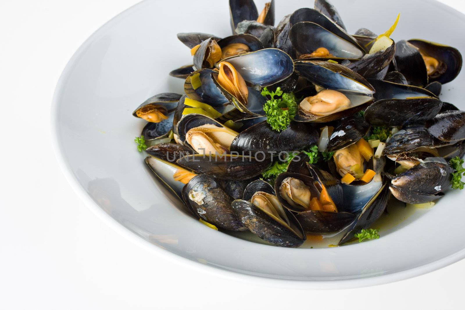 cooked open blue mussels on white background