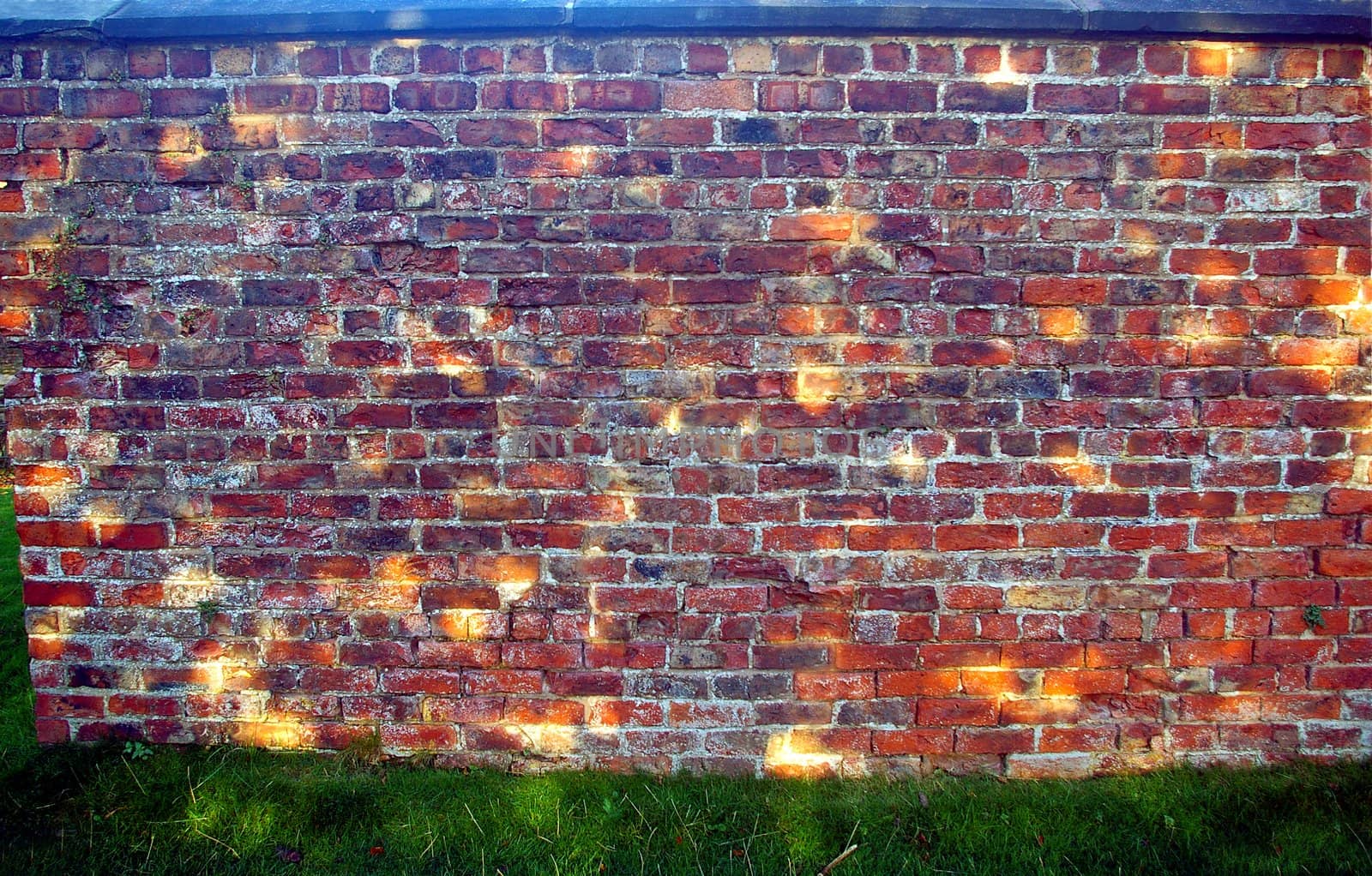A brick wall by Komar