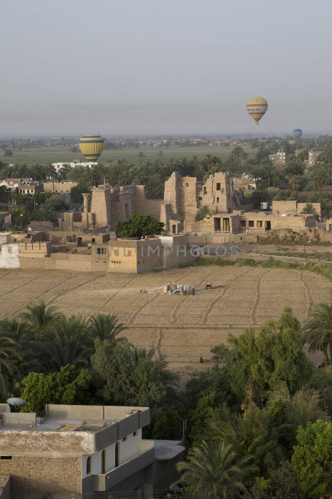 Balloon Ride Over Luxor by MihaiDancaescu