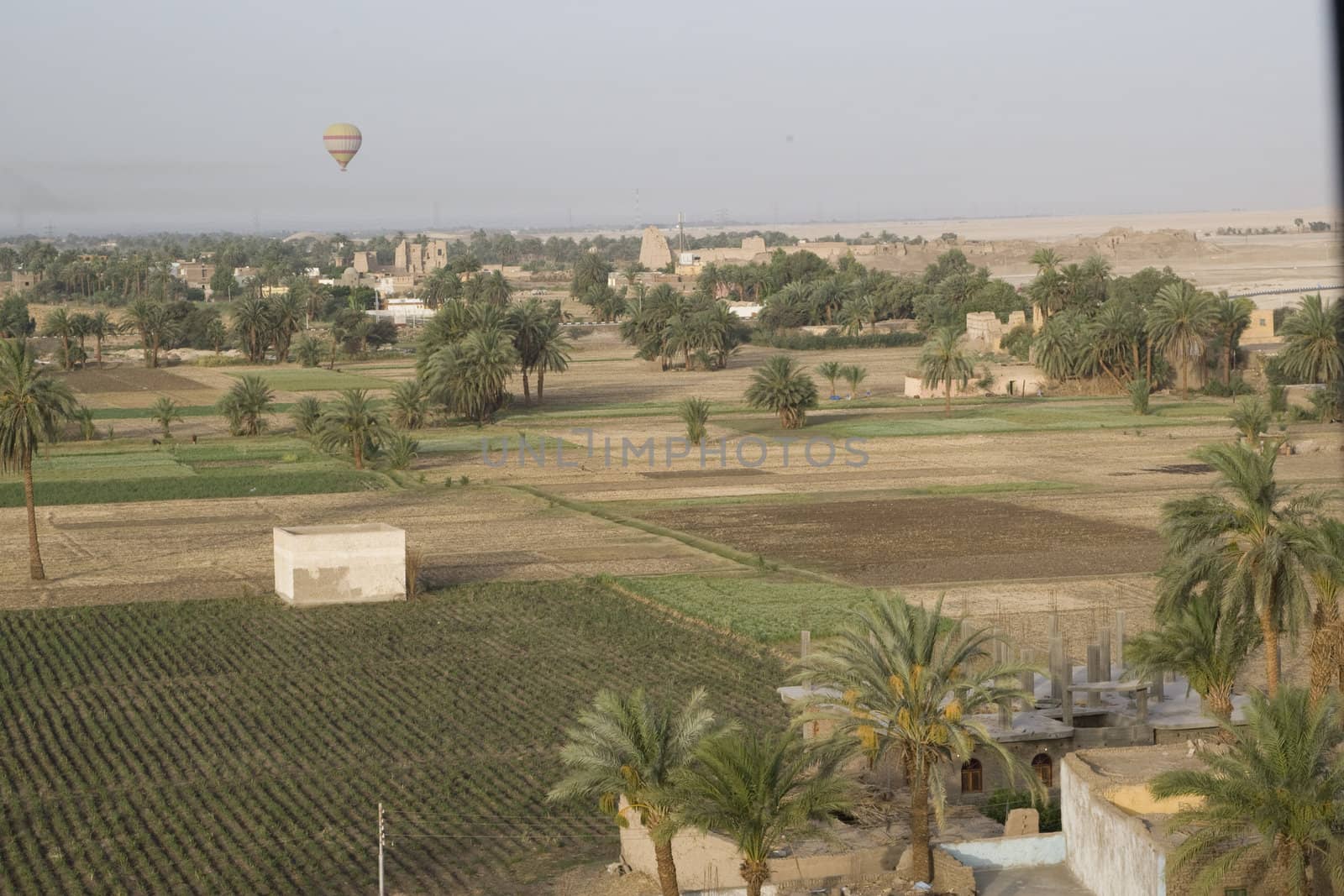 Balloon Ride Over Luxor by MihaiDancaescu