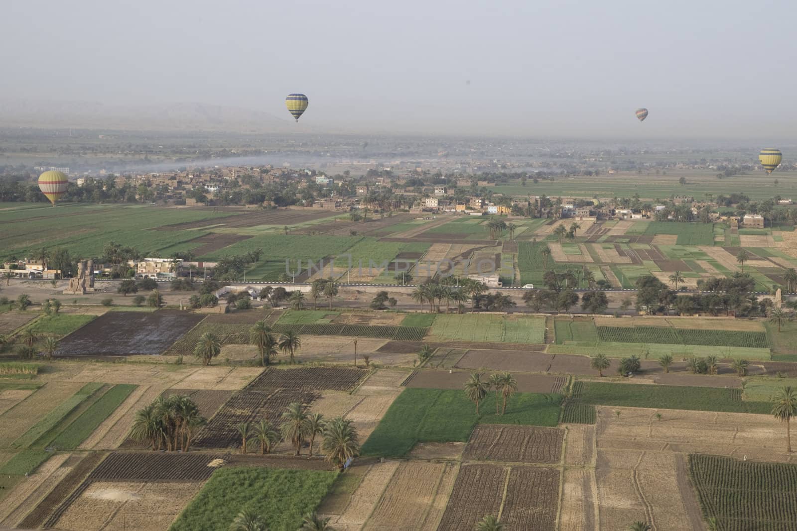 Balloon Ride Over Luxor by MihaiDancaescu