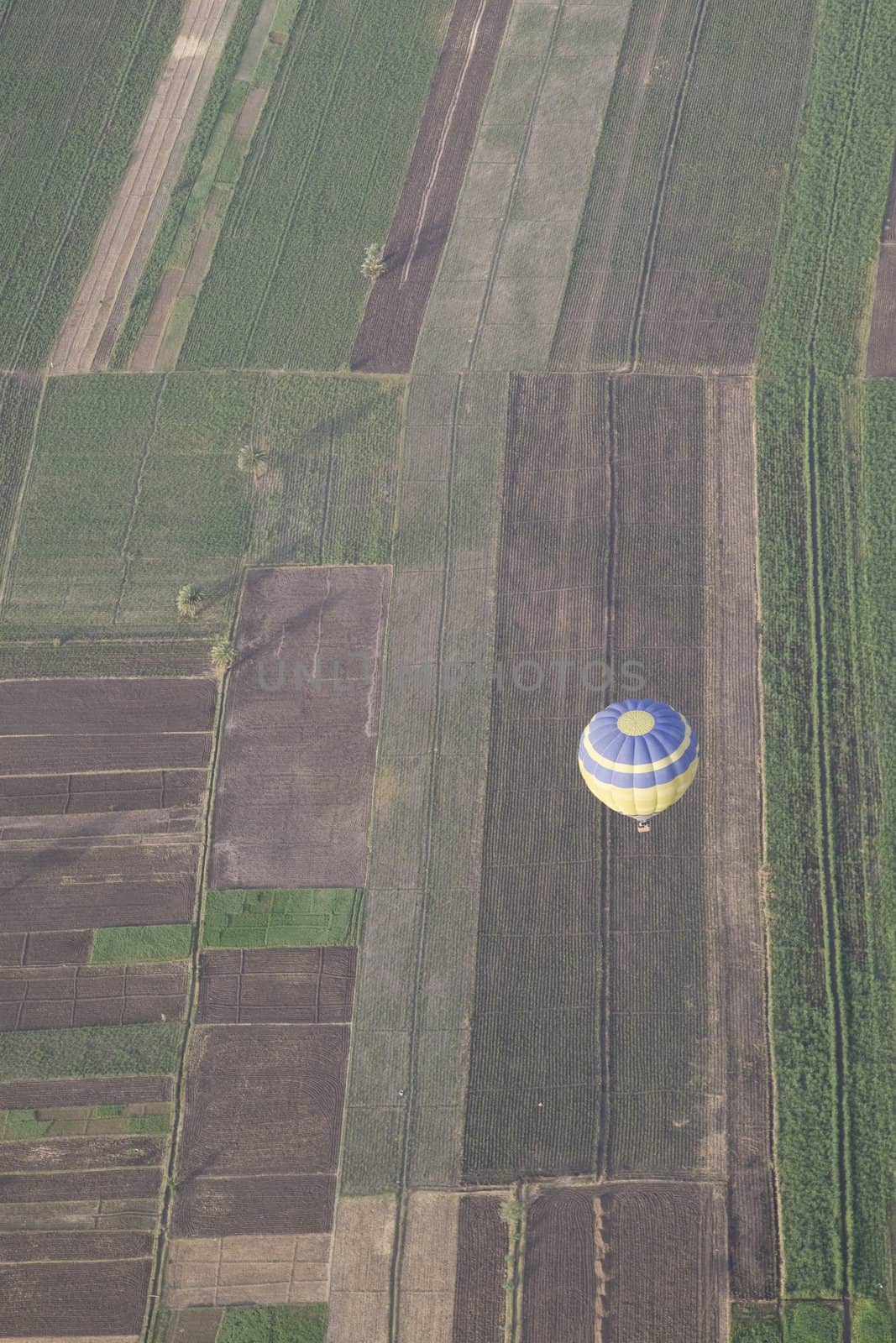 Balloon Ride Over Luxor by MihaiDancaescu