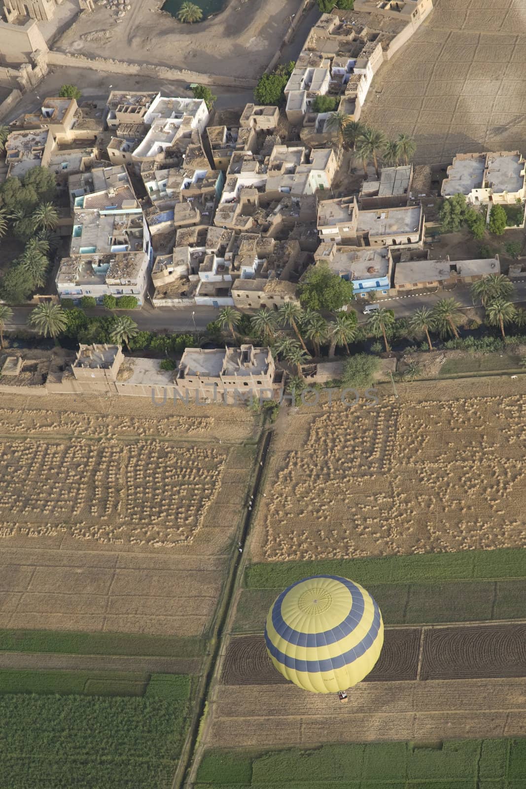 Balloon Ride Over Luxor by MihaiDancaescu