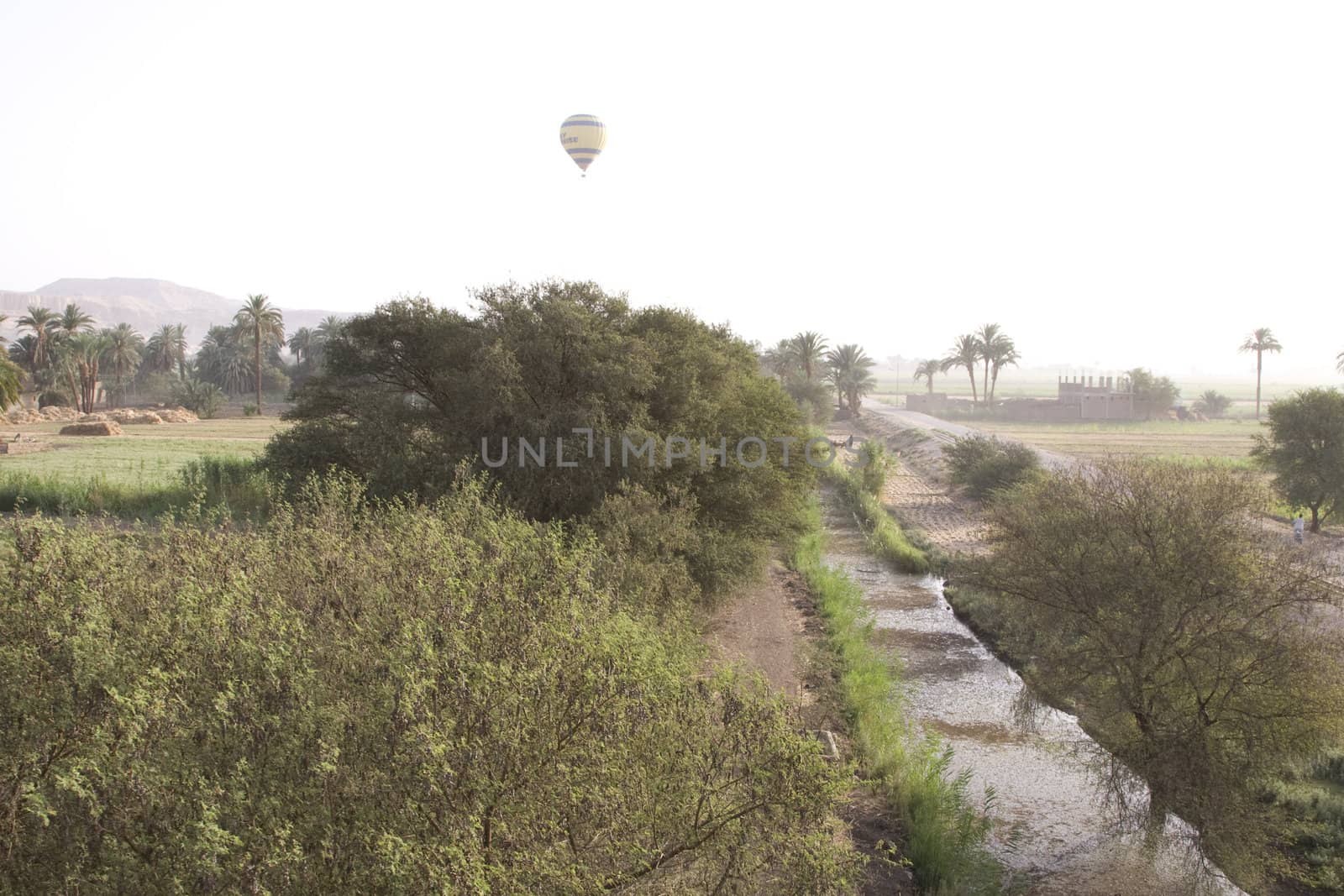 Balloon Ride Over Luxor by MihaiDancaescu