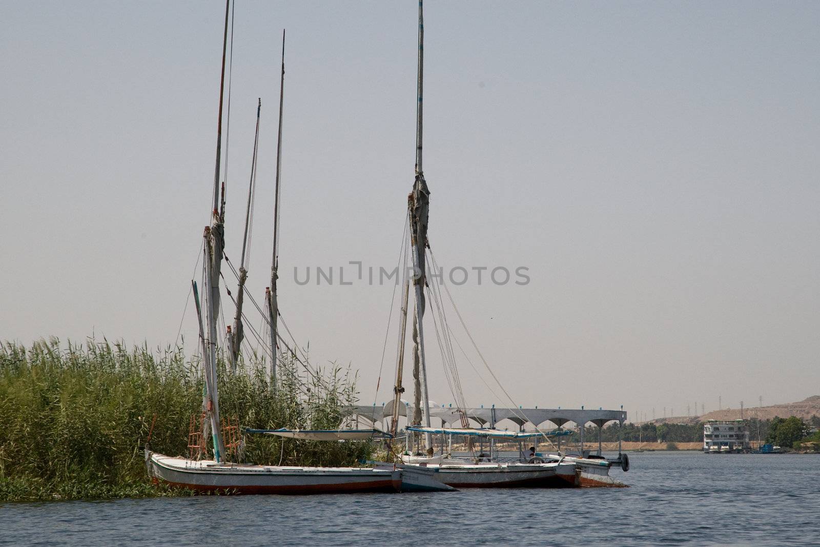 Nile River near Aswan, Egypt by MihaiDancaescu