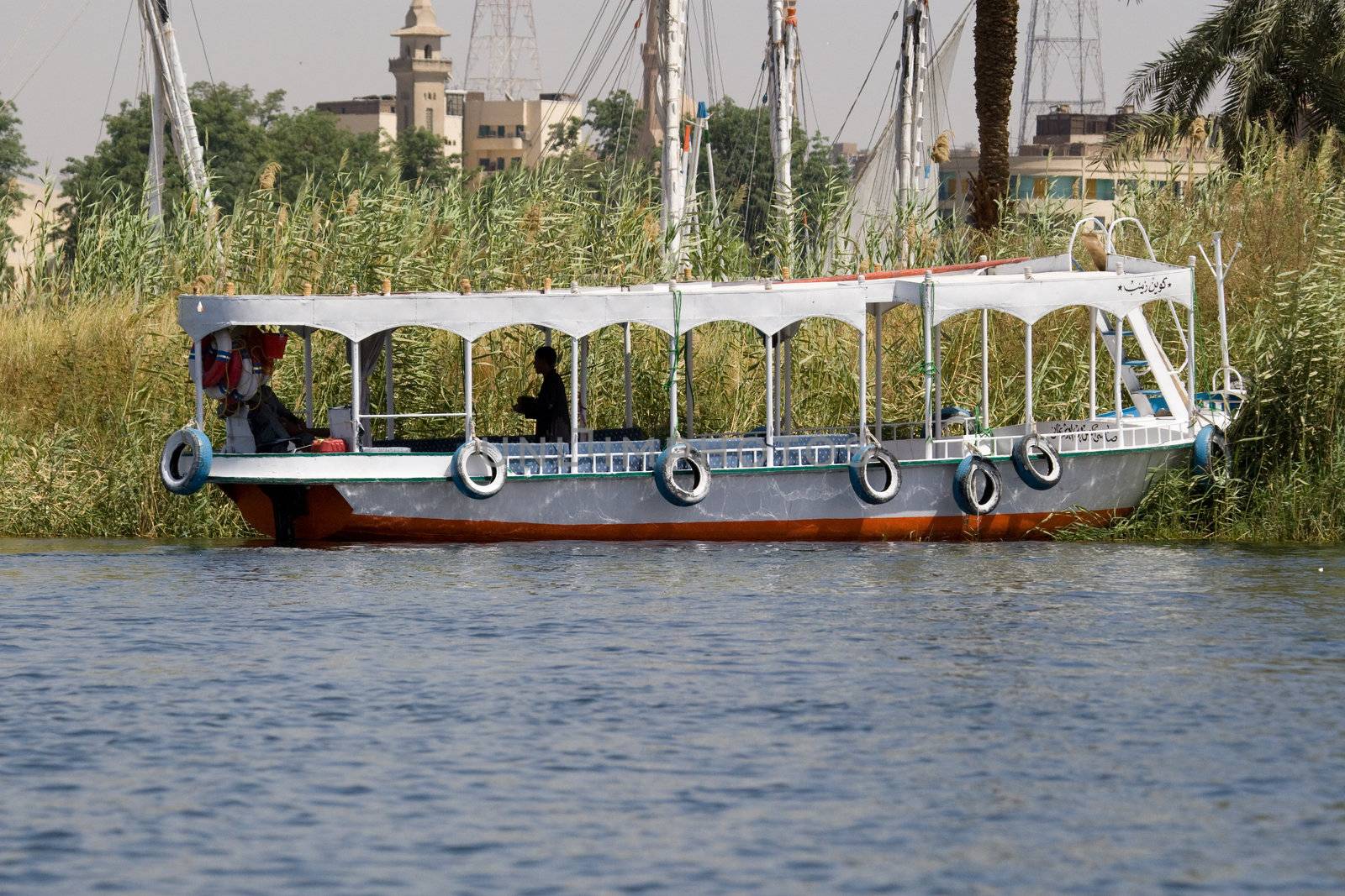 Nile River near Aswan, Egypt by MihaiDancaescu