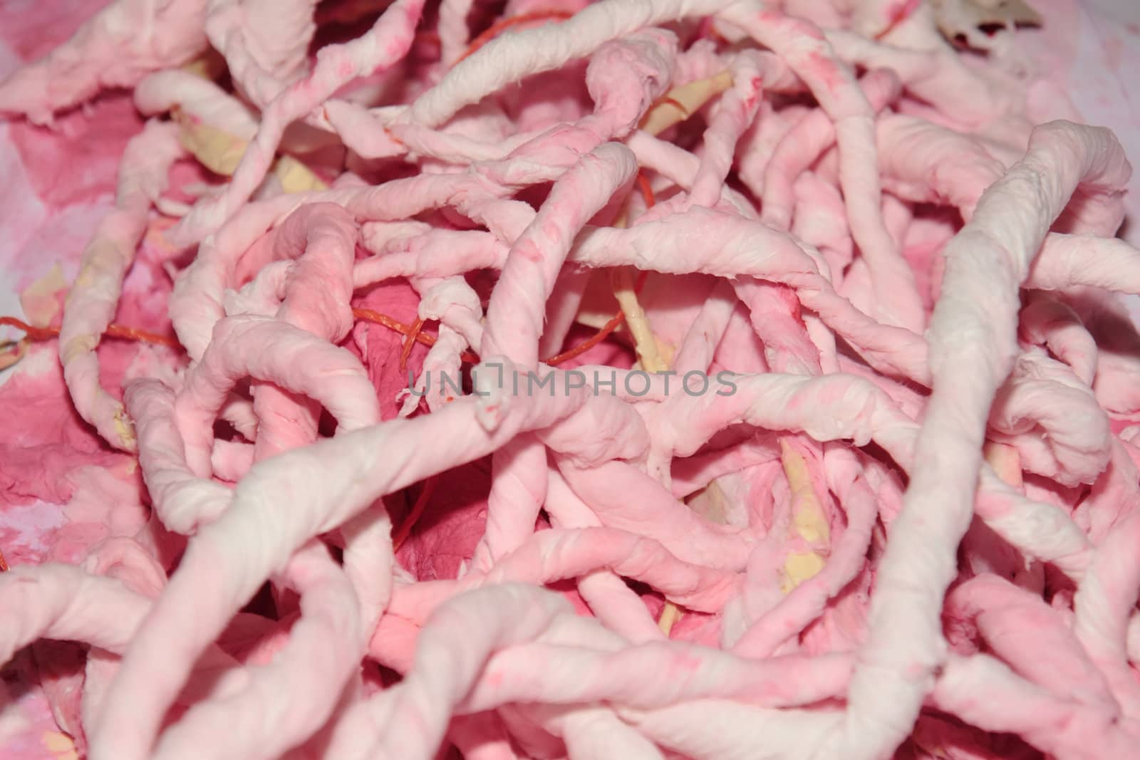 a tangled up abstract of guts and intestines